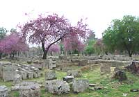 The archaeological site of Olympia